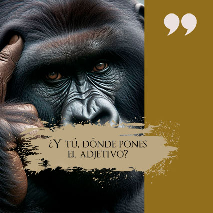 Dónde pones el adjetivo